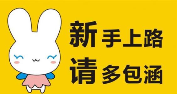 新手上路需要找陪驾吗？